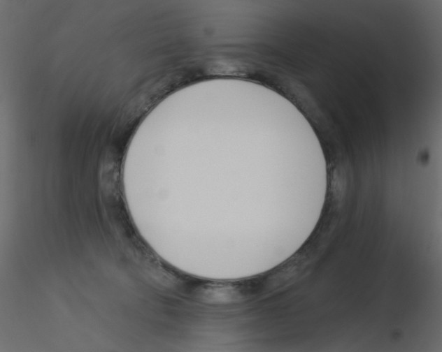 X0000115830322200912242001