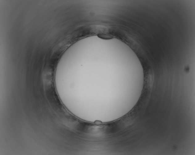 X0000115830323200912242001