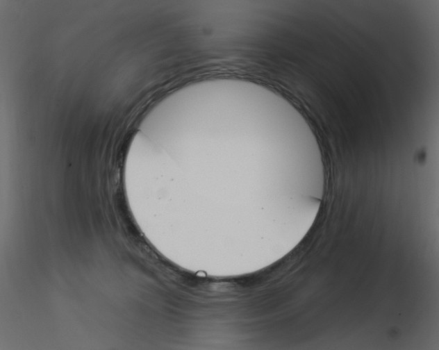 X0000115830324200912242001