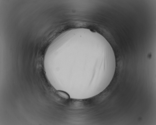 X0000115830325200912242001