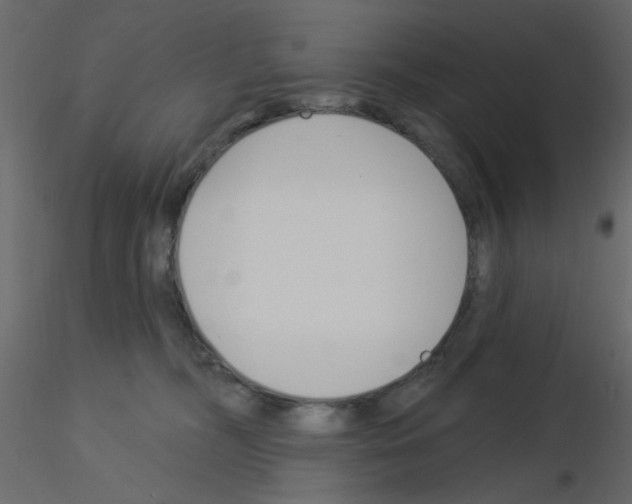 X0000115830326200912242001