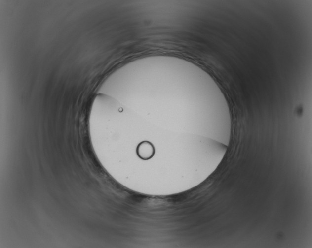 X0000115830327200912242001