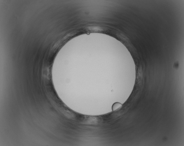 X0000115830330200912242001