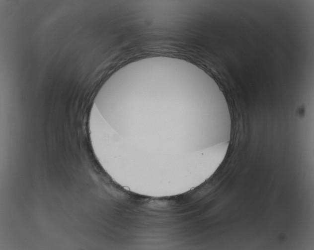 X0000115830332200912242001