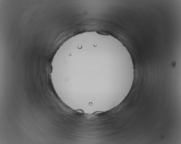 X0000115830333200912242001