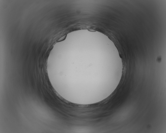 X0000115830335200912242001