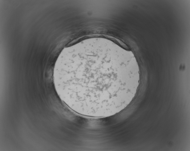 X0000115830336200912242001