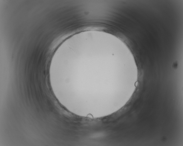 X0000115830337200912242000