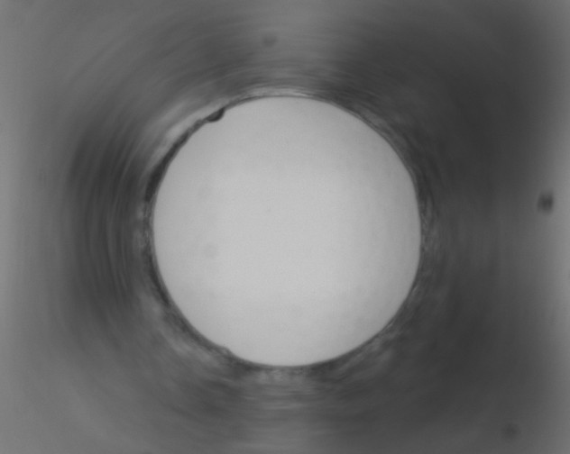 X0000115830338200912242000