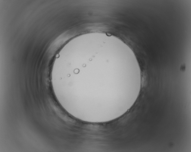 X0000115830339200912242000