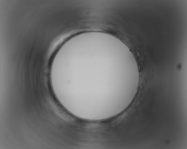 X0000115830342200912242000