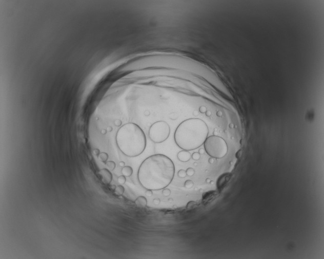 X0000115830343200912242000