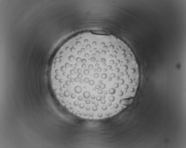 X0000115830346200912242000