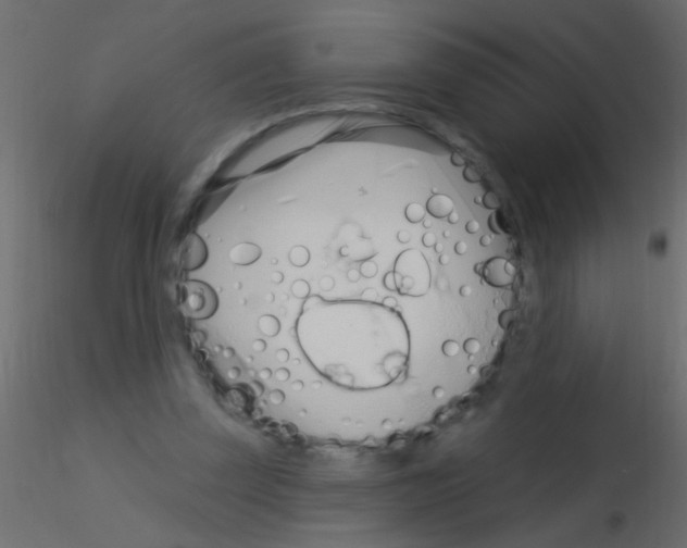 X0000115830347200912242000