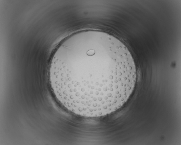 X0000115830349200912242000