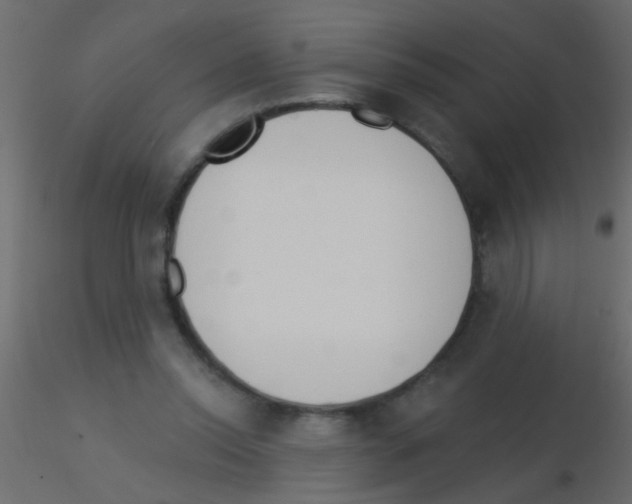 X0000115830350200912242000