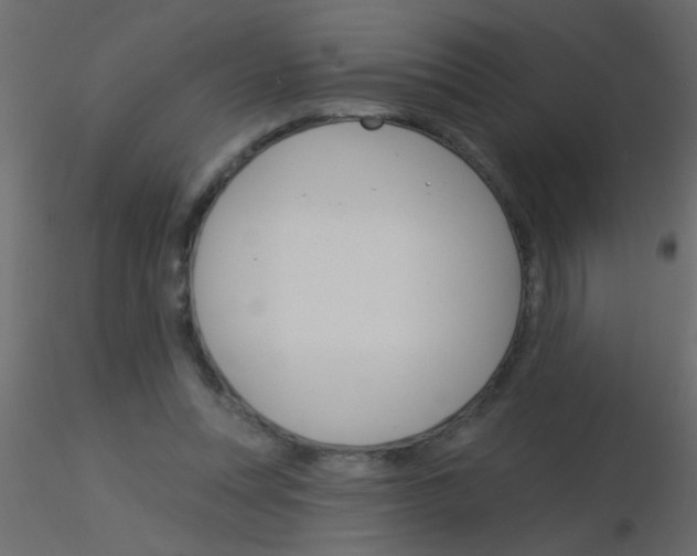 X0000115830351200912242000