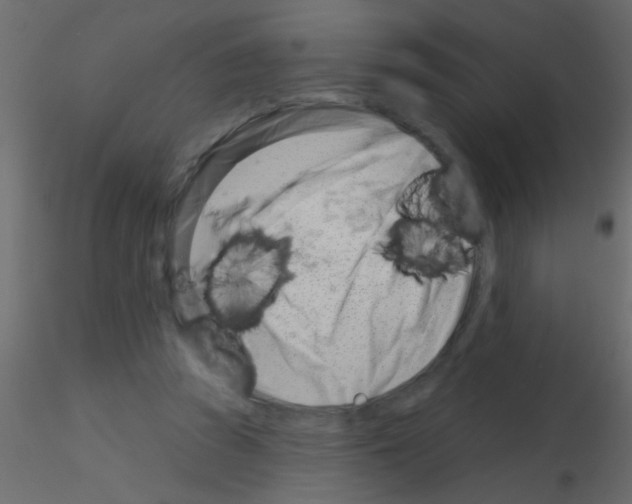 X0000115830353200912242000