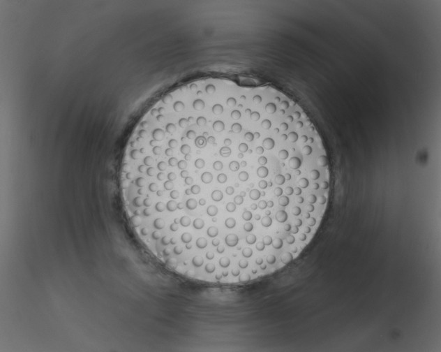 X0000115830354200912242000