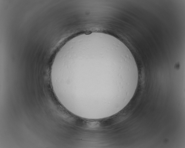 X0000115830355200912242000