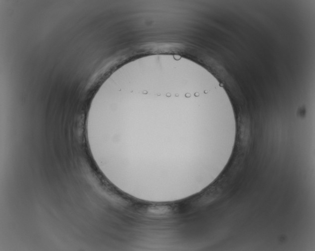 X0000115830357200912242001