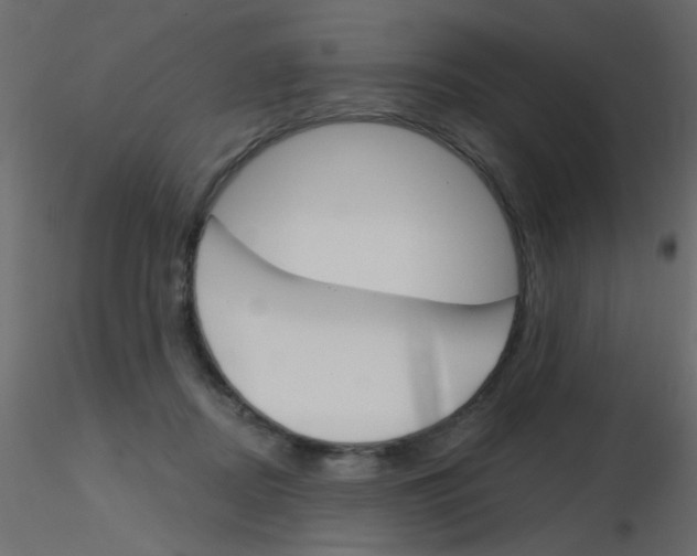 X0000115830362200912242001