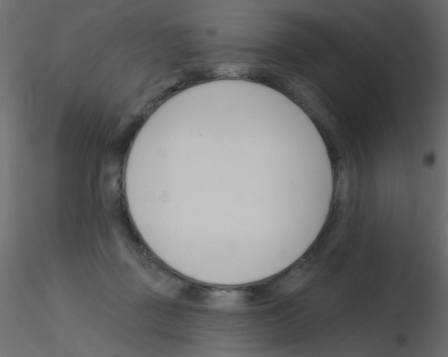 X0000115830363200912242001