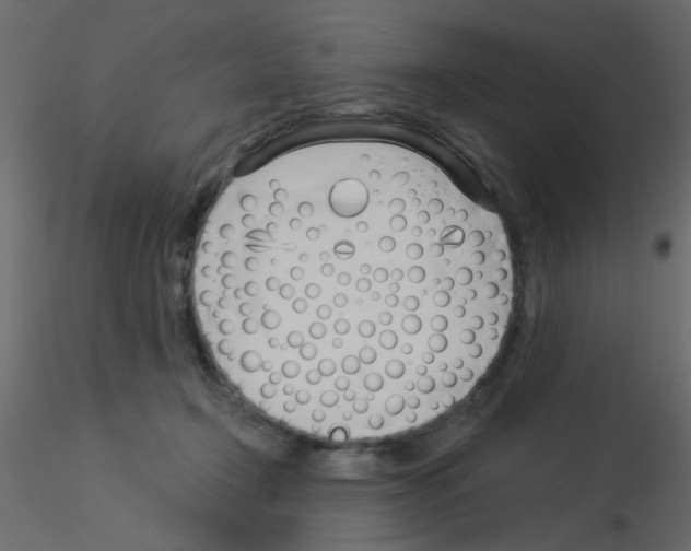 X0000115830366200912242001