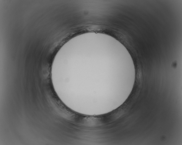 X0000115830367200912242001