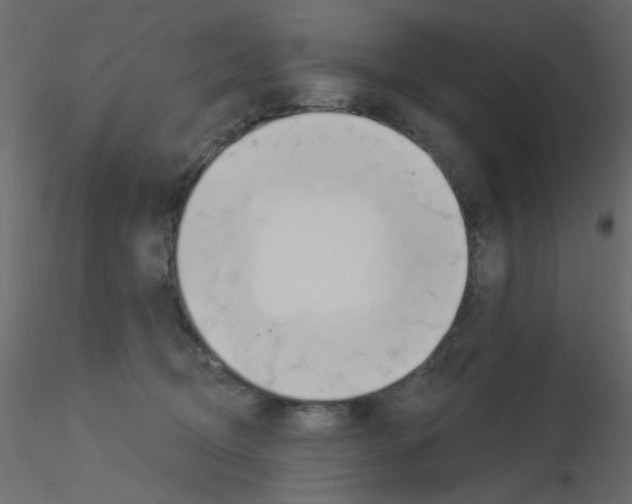 X0000115830370200912242001