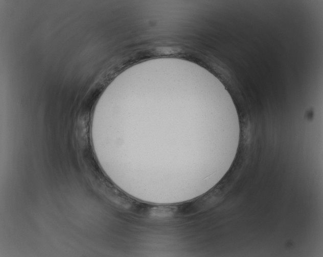 X0000115830373200912242001