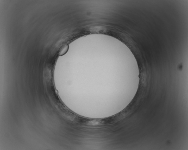 X0000115830375200912242001