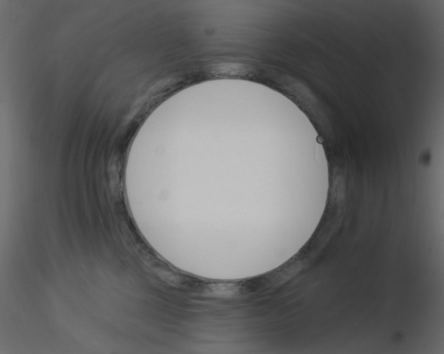 X0000115830377200912242001