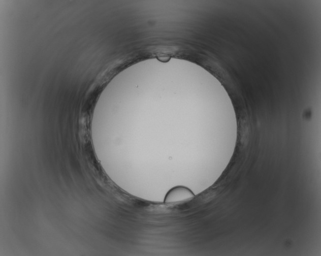 X0000115830378200912242001