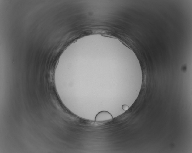 X0000115830379200912242001