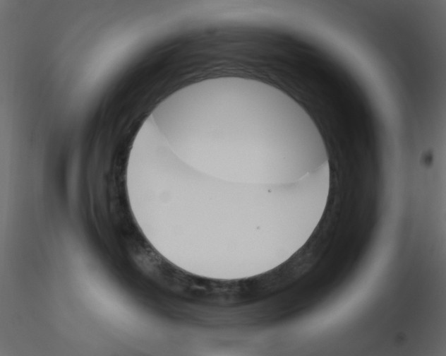 X0000115830382200912242001