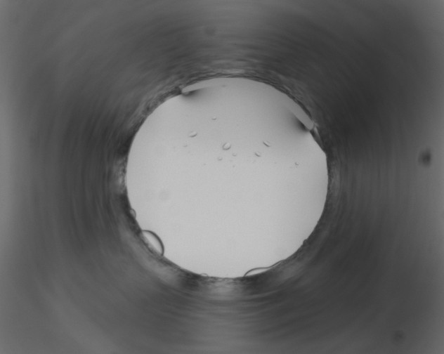 X0000115830383200912242001