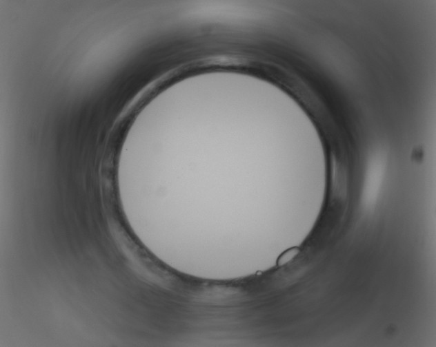 X0000115830387200912242000