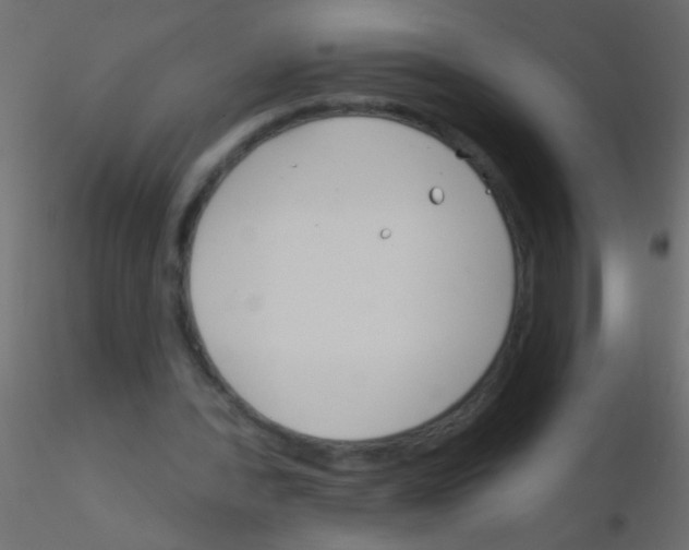 X0000115830388200912242000