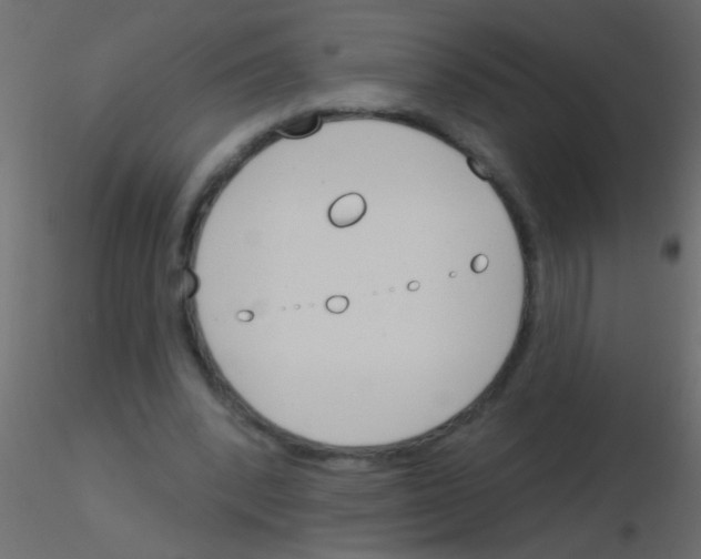 X0000115830392200912242000