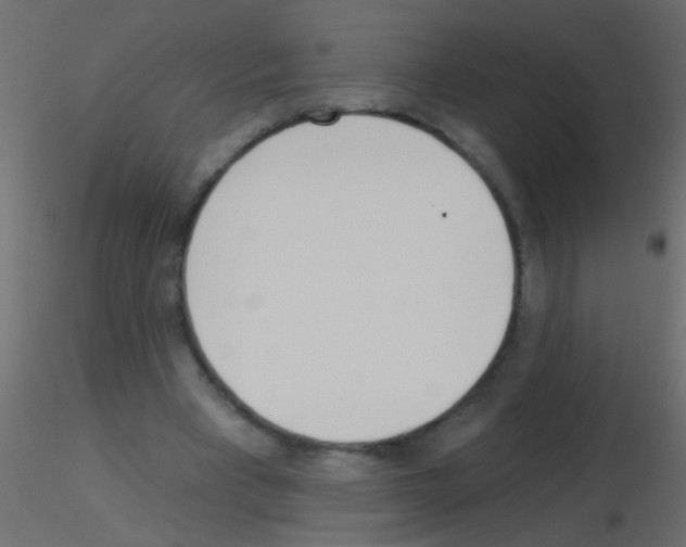 X0000115830393200912242000