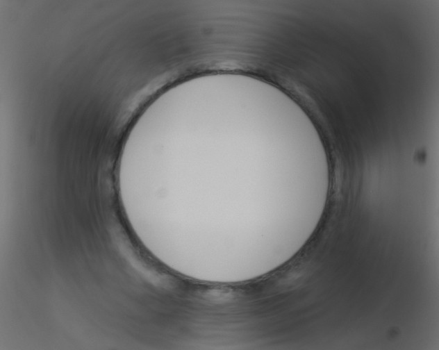 X0000115830394200912242000