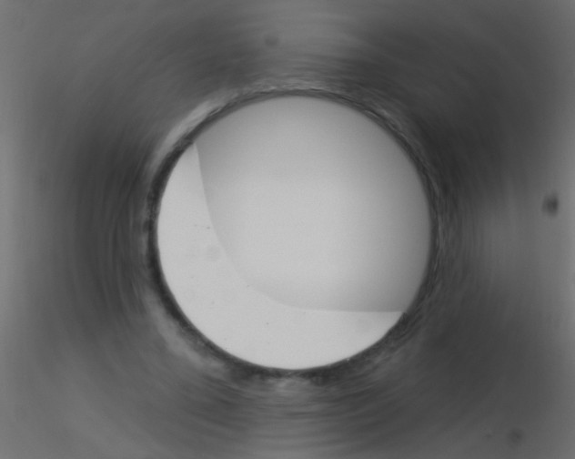 X0000115830395200912242000