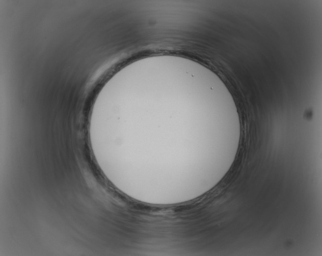 X0000115830396200912242000