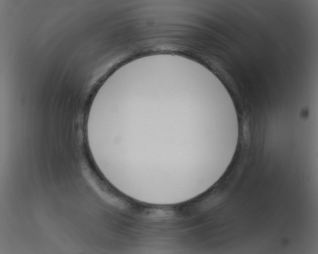 X0000115830398200912242000