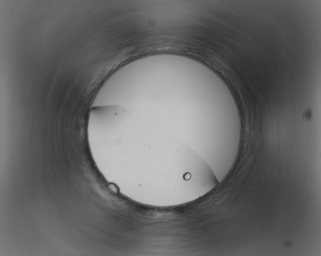 X0000115830401200912242000