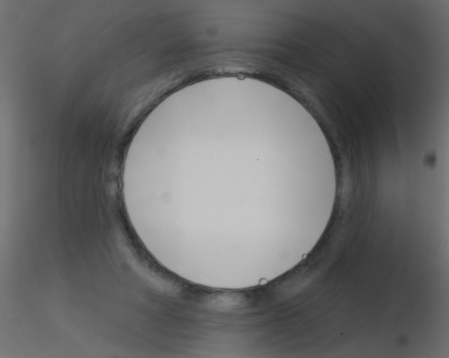 X0000115830402200912242000