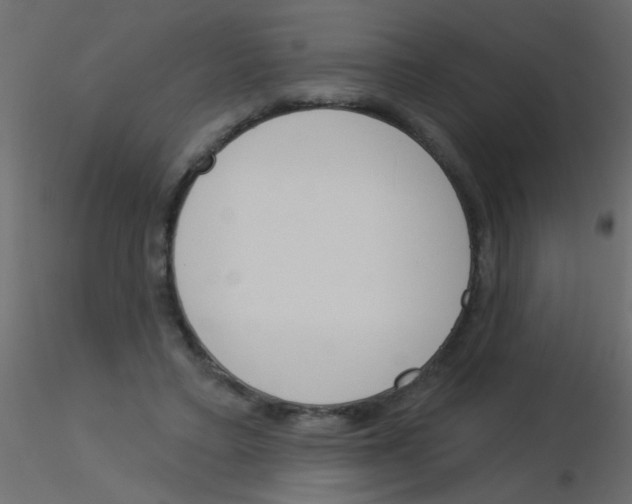 X0000115830403200912242000