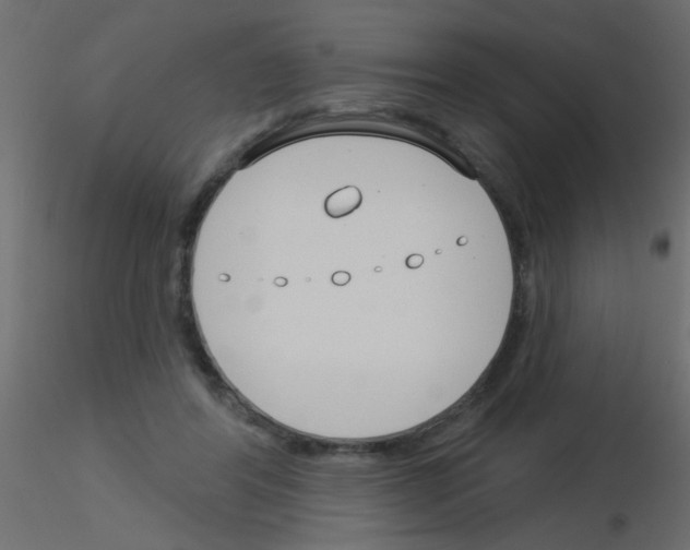 X0000115830404200912242000