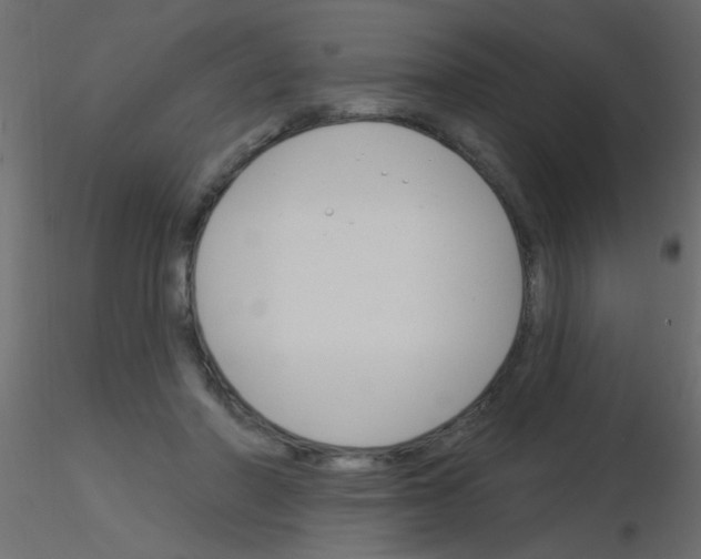 X0000115830406200912242000